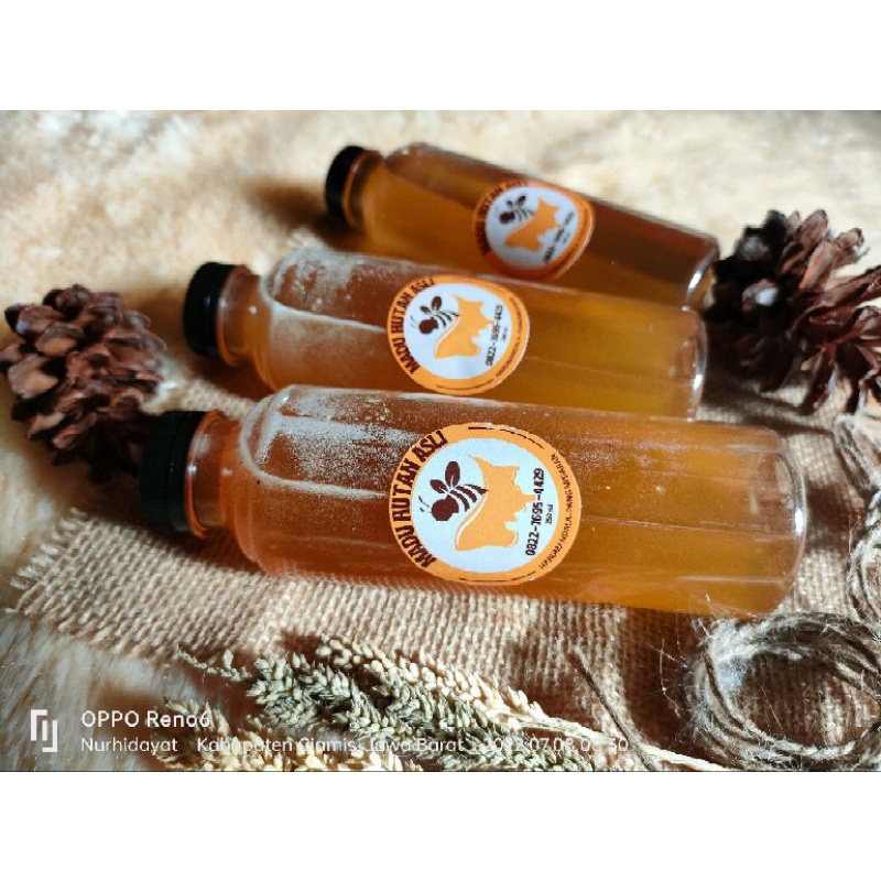 

MADU LEBAH HUTAN ASLI SEJUTA KASIAT PARIAN 300 ml