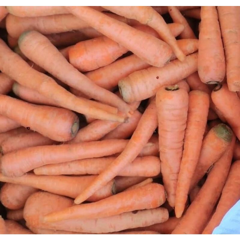 

WORTEL LOKAL 1 PACK/SAYUR WORTEL LOKALFRESH