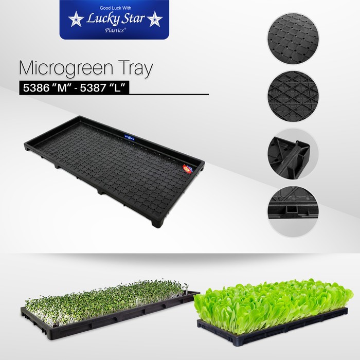 GROSIR Tray semai padi tray semai microgreen wheat grass size L 5387H