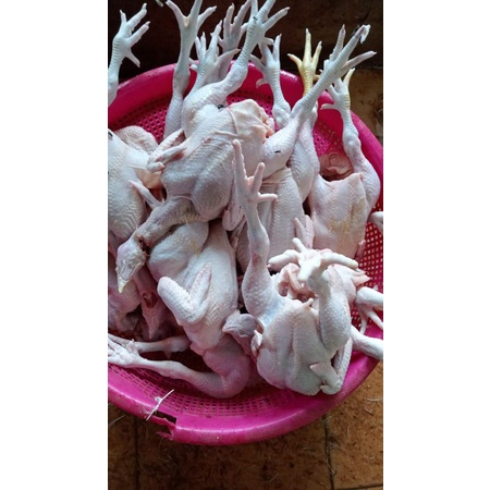 

Karkas Ayam Broiler Ayam Potong Utuh | 800-900 g