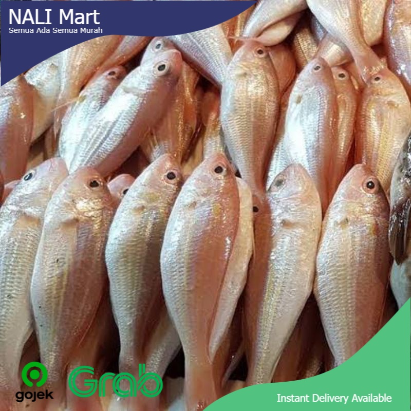 Ikan Merah Segar 500gr - 1kg / Ikan Merah Biji Nangka / Ikan Biji Nangka