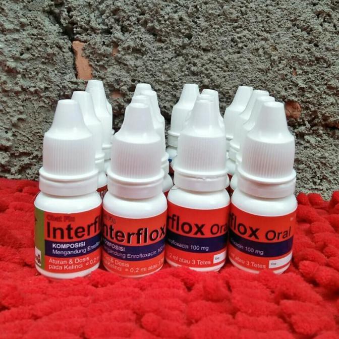 Interflox oral obat flu untuk kelinci murah