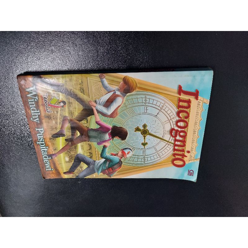 [PRELOVED / KOLPRI] Novel Indonesia - Incognito