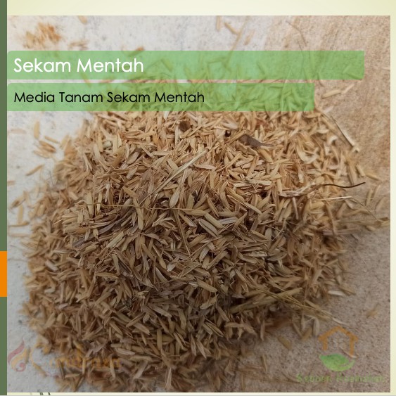 Sekam Mentah Karungan / Sekam Padi / Kulit Padi