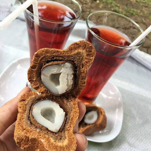 

BUAH ZURIAT PROGRAM HAMIL SUNAH NABI SATU BULAN KONSUMSI