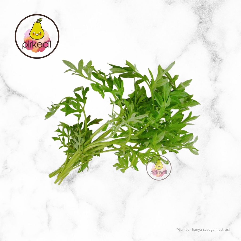 

Daun Kenikir - Paket Goceng