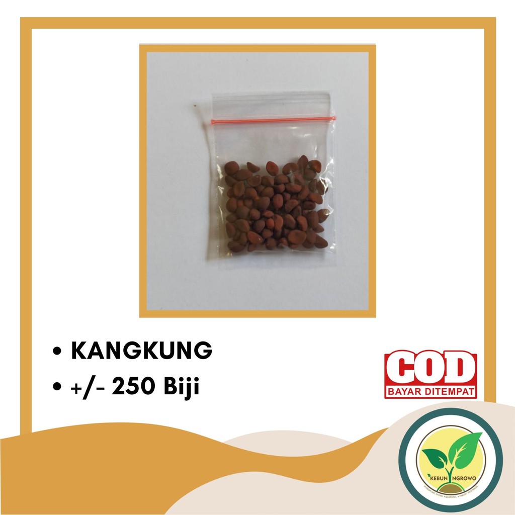 Benih Kangkung Sayuran Hidroponik Hijau Unggul 250 Biji KEMASAN KLIP-4