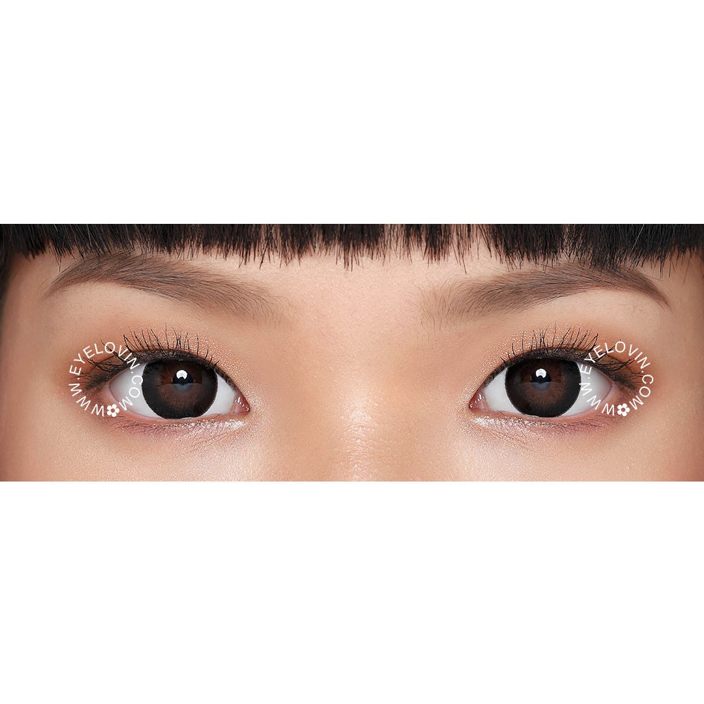 Eyelovin x Patricia Stephanie Softlens Neo Cosmo - Sage Xtra Black N259