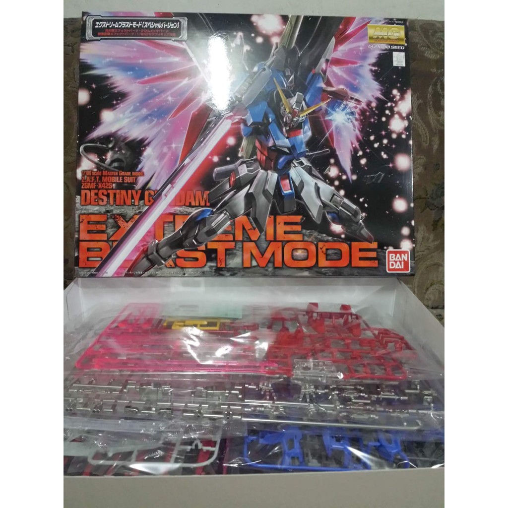 MG 1/100 Gundam Destiny EBM