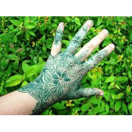 Paket Henna + Cetakan Tangan Golecha Hena Rangeela Rainbow - Hijau