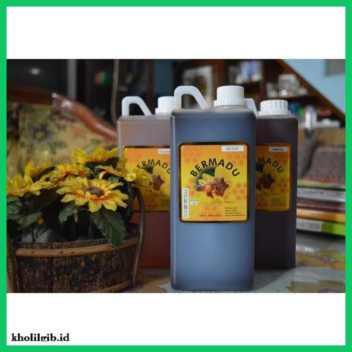 

MADU-MINUMAN- MADU ASLI MURNI 100% SNI 500ML BERMADU HUTAN, KELENGKENG, RANDU DLL - KELENGKENG