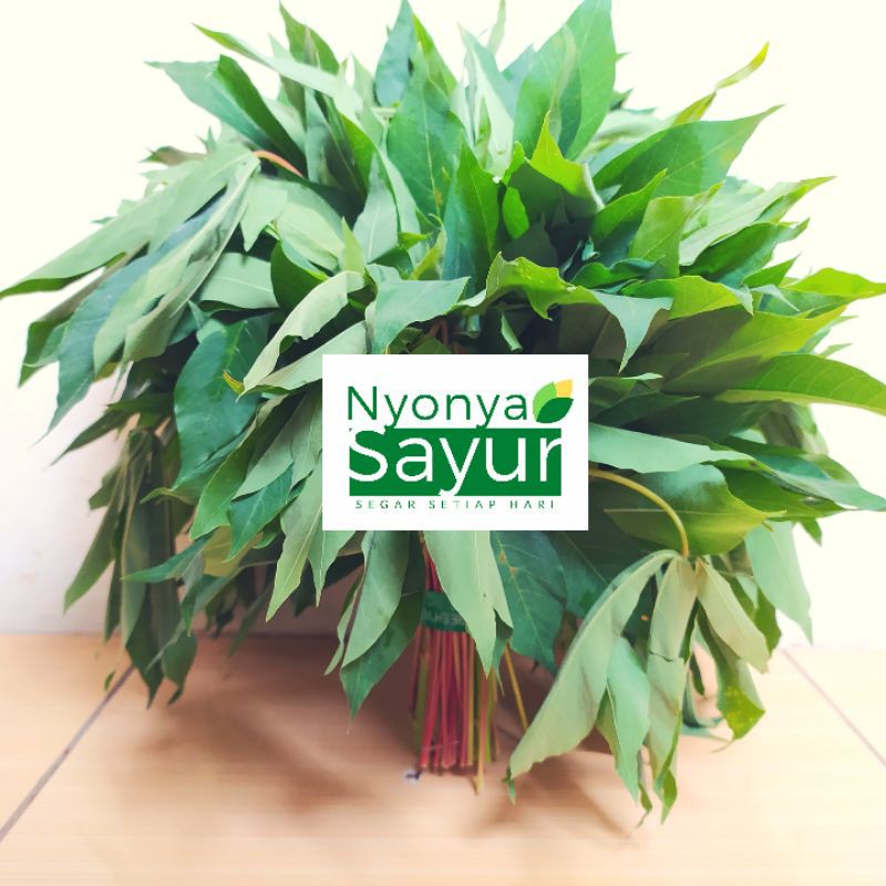 

Daun Singkong Per Ikat