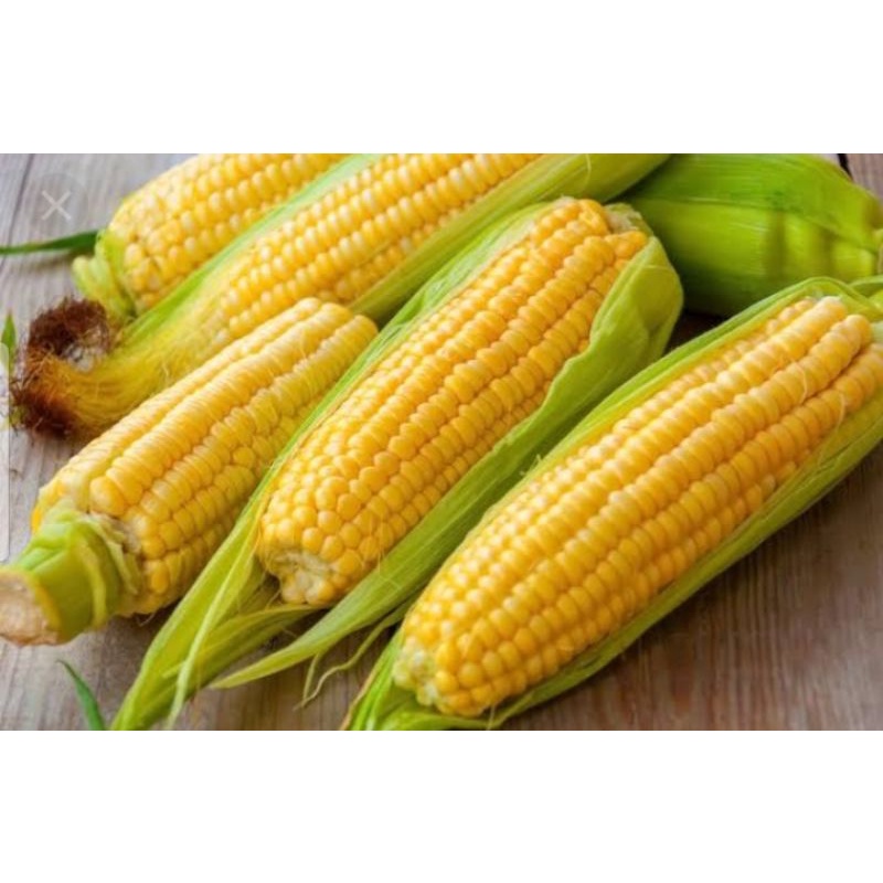 

Jagung 300 gr