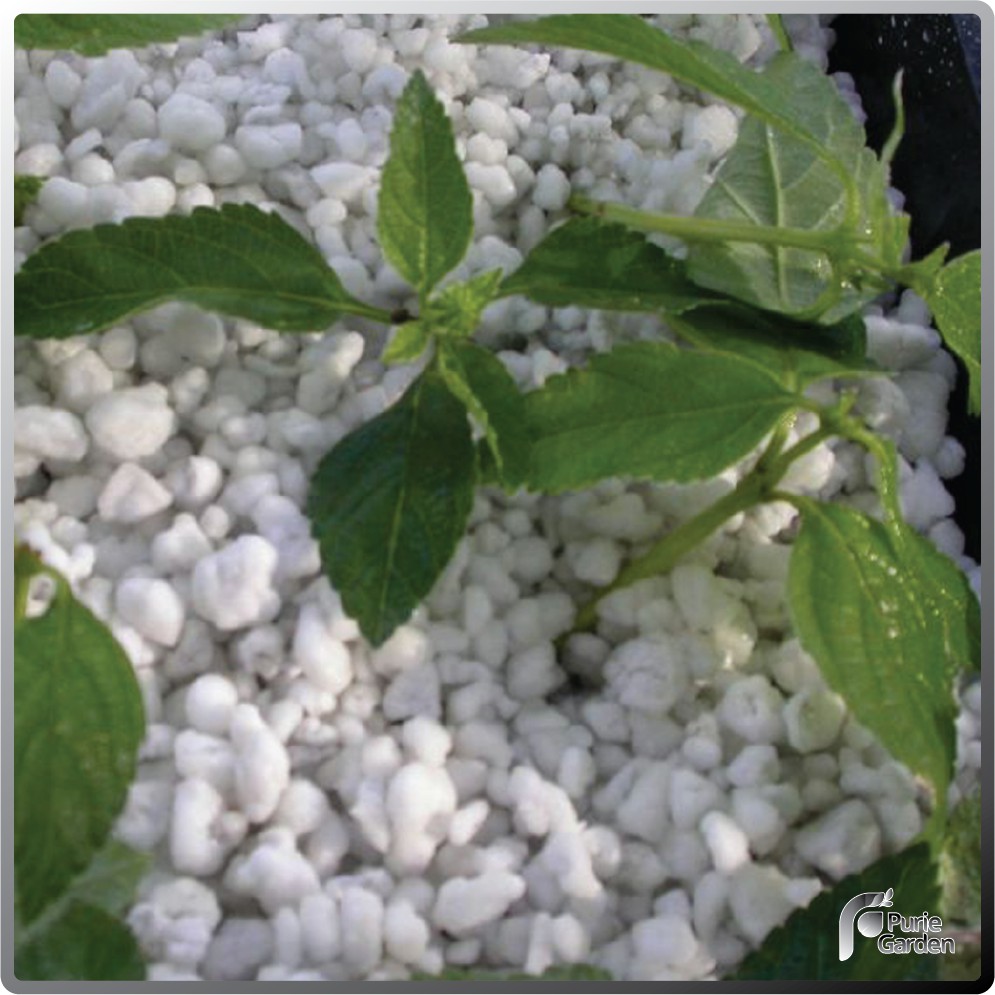 Perlite Media Tanam Hidroponik 1Liter