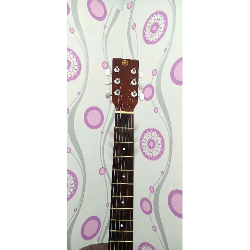 gitar pemula