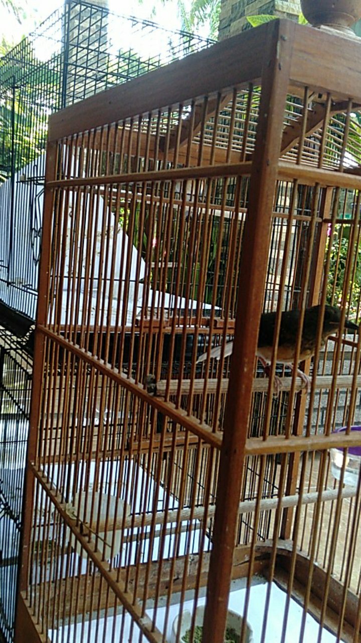 Standing Pouch Transmetz Window Kombinasi 13x20.5 Black Hitam White Putih 250z