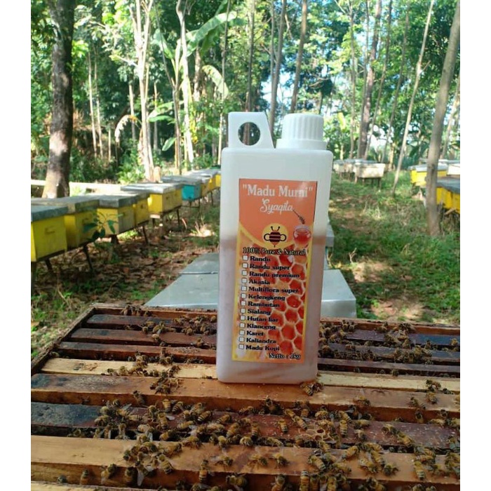 

MADU MULIFLORA SUPER 1 KG SUDAH LOLOS UJI LAB | MADU MENTAH | RAW HONEY | MADU ASLI | MADU MURNI 100% | MADU SYAQILA