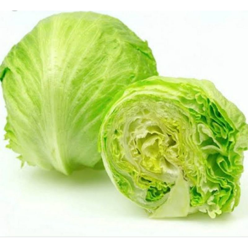 

Letus / Lettuce Head Sayuran Segar 1 kg