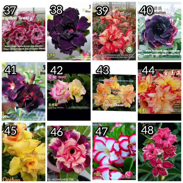 Shopee Indonesia Jual Beli Di Ponsel Dan Online