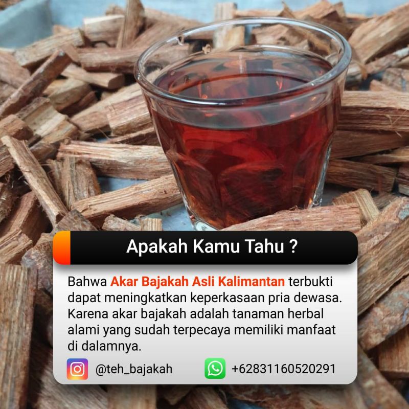 

Akar Bajakah kalalawit 250gr