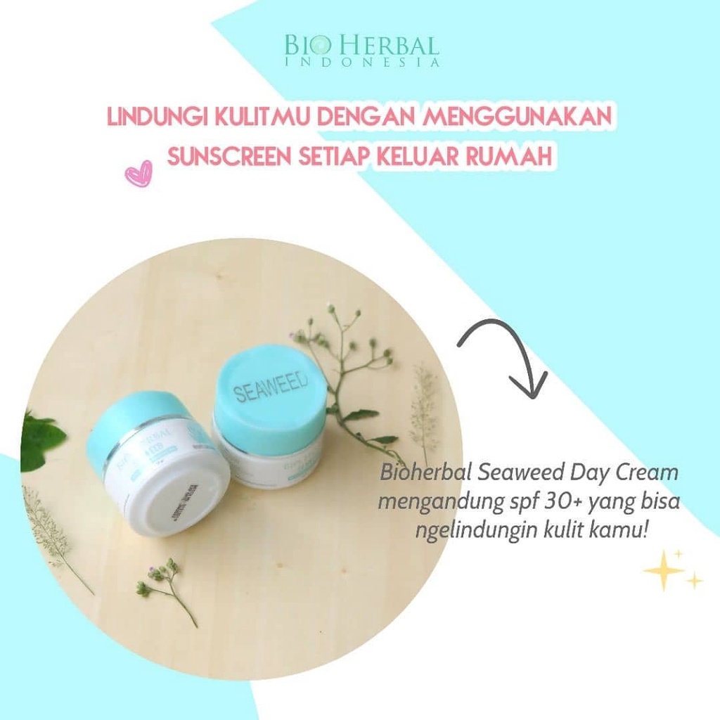 Bio Herbal Seawed Night Cream - Krim Wajah Malam Pelembab Muka Glowing Original Bpom