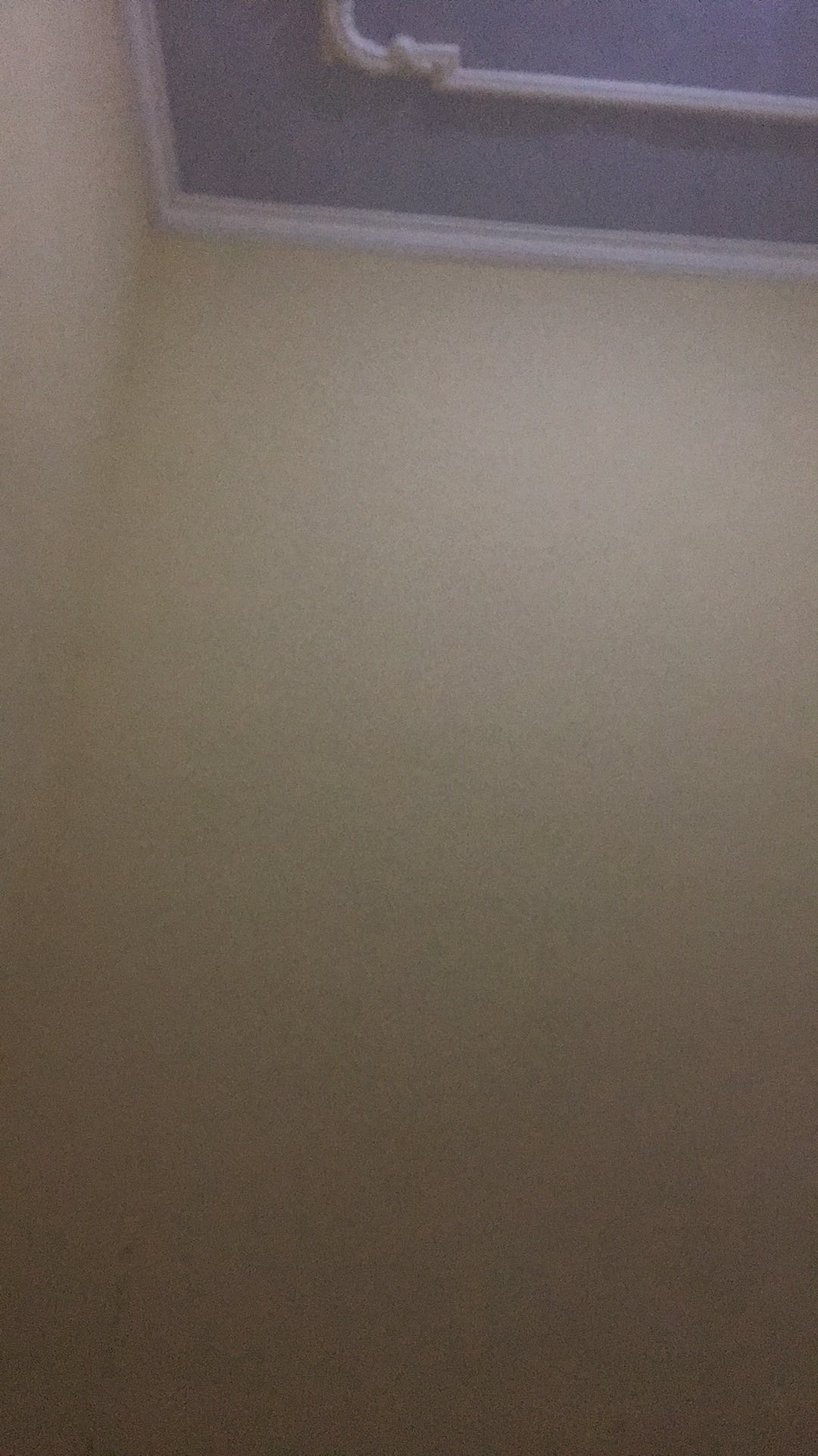 Obat / Racun Anti Semut Ampuh (mati Di Sarang)