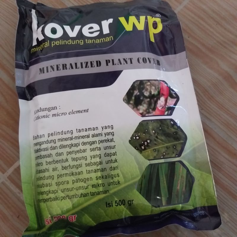kover wp 500 gr