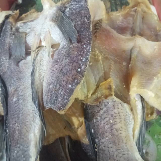 

Ikan gabus/ikan haruan