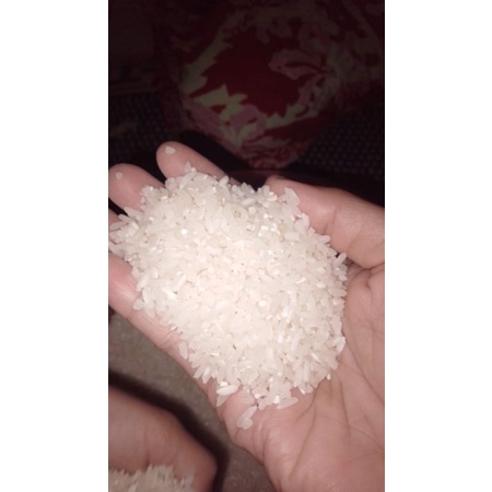 

BERAS BROMO PULEN SUDAH BERSIH TINGGAL CUCI & MASAK
