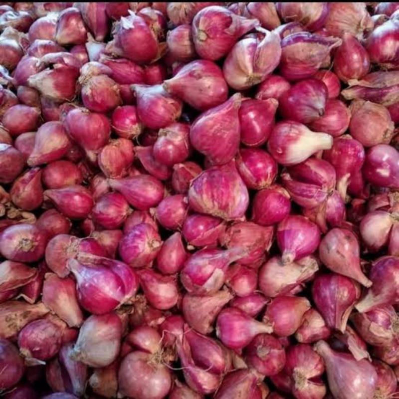 

BAWANG MERAH BREBES. BESAR KECIL CAMPUR 100 GRAM