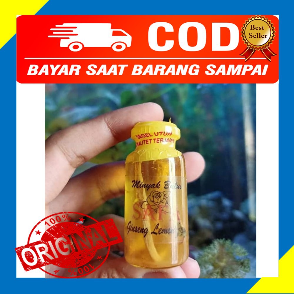 MINYAK BULUS PEMBESAR MR.P / MINYAK BULUS SAFA ORIGINAL GINSENG 10ML
