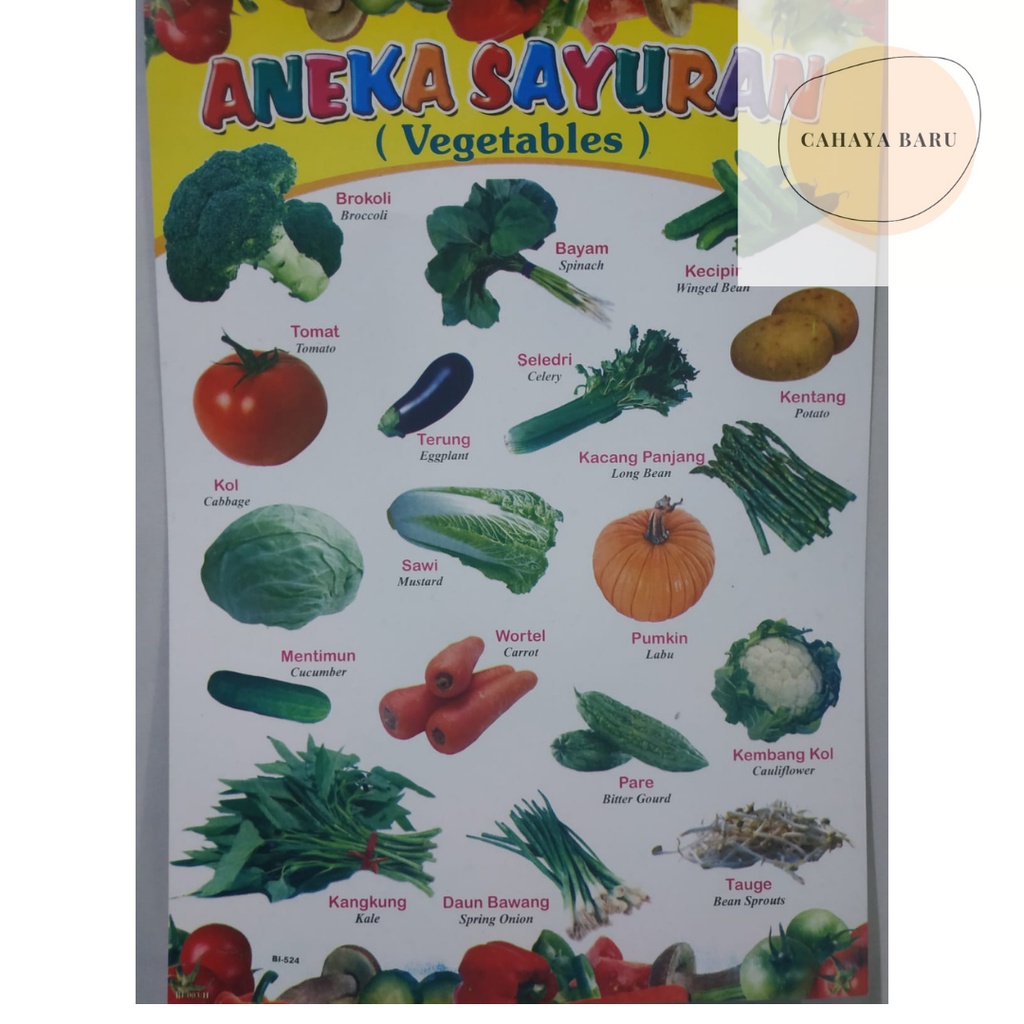 

Poster Edukasi Anak Mengenal Aneka Sayuran