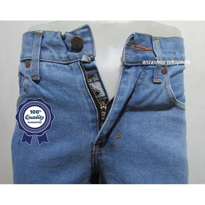 CELANA PRIA PANJANG ORIGINAL Celana Jeans Denim Bandung WANZ Standar/Regular Bioblitz 27-32 CO JEANS