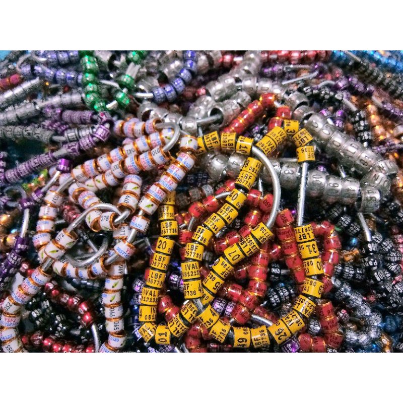 Transaksi Total Harga RING