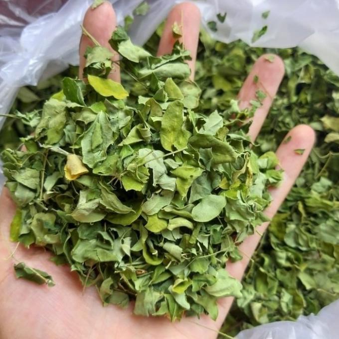 

[COD] Teh Daun Kelor / Teh Tubruk Kelor, Asli MoriTea, 1Kg 100% Organik [COD]
