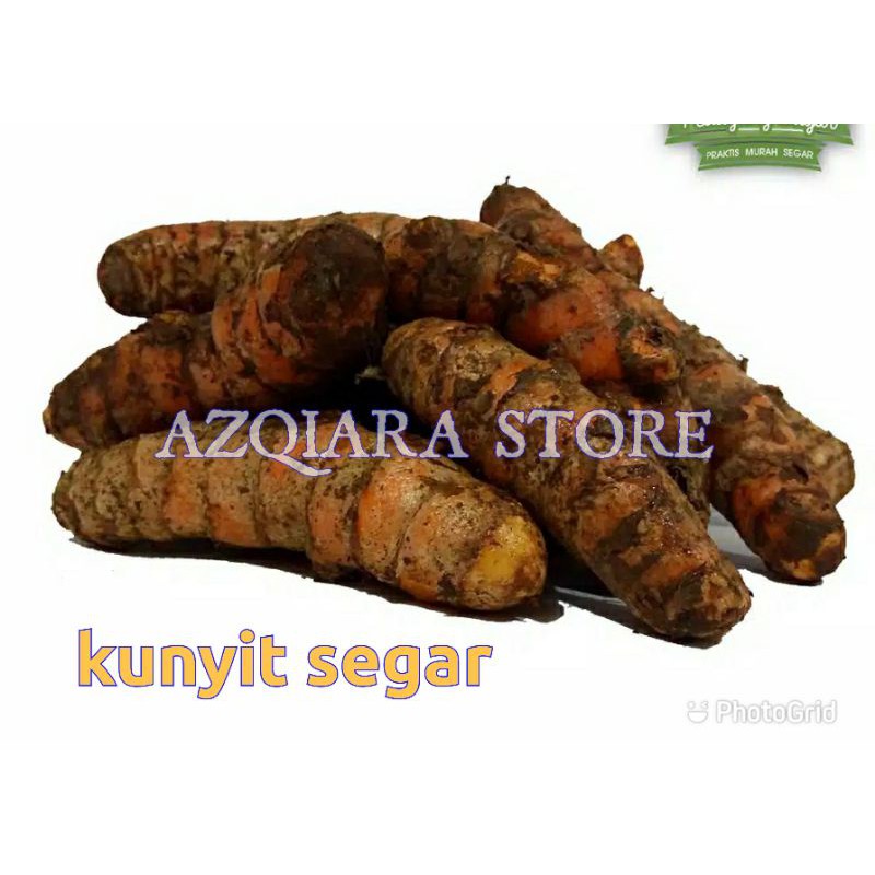 

KUNYIT SEGAR - KUNYIT BUMBU DAPUR SEGAR KEBUN SENDIRI 500GRAM