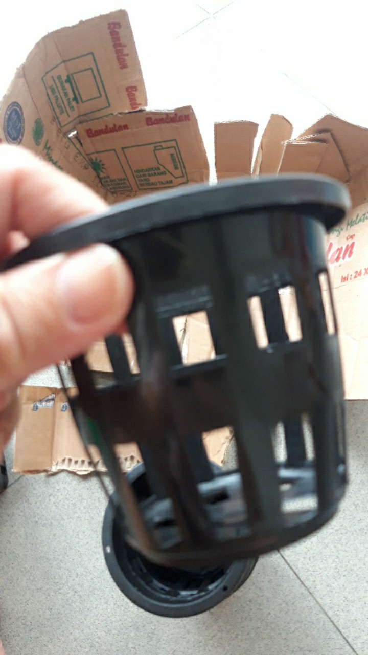 Pot Anggrek 10 Cm | Pot Hidroponik Tanaman Hias Dan Bunga