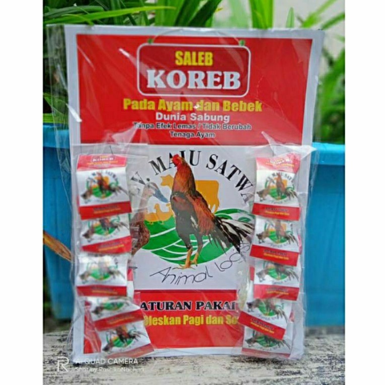 SALEB KOREB AYAM DAN BEBEK OBAT SALEP KOREP KURAP PADA AYAM & BEBEK DUNIA SABUNG