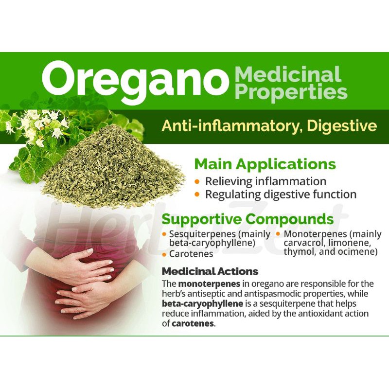 RAW TISANE Oregano Leaf Tea : Teh Daun Oregano Isi 30 Tea Bag