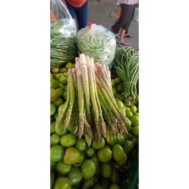 

Asparagus Segar
