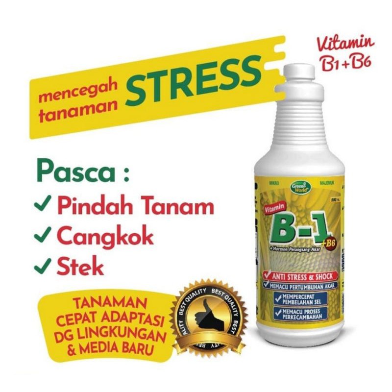 vitamin B1+B6 untuk mempercepat pertumbuhan tanaman