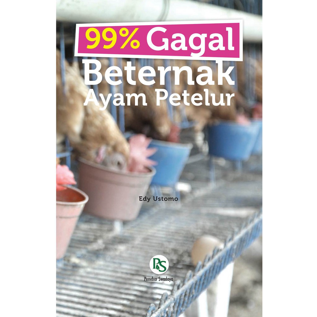 99 Gagal Beternak Ayam Petelur Shopee Indonesia