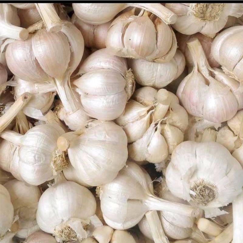 

bawang putih 100g