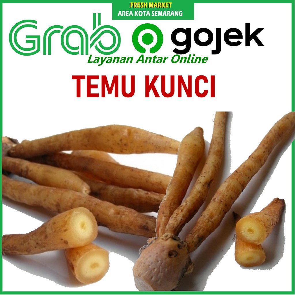 

[FRESH MARKET] Temu Kunci Bumbu Dapur Segar 250gr KIRIM GRAB area kota semarang