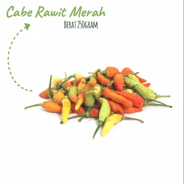 

Cabe Rawit Merah Tiung Taji / Berat 250 gram