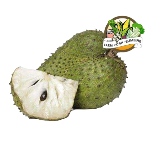 Buah Srikaya Jumbo / Srikaya Aussy 1 kg