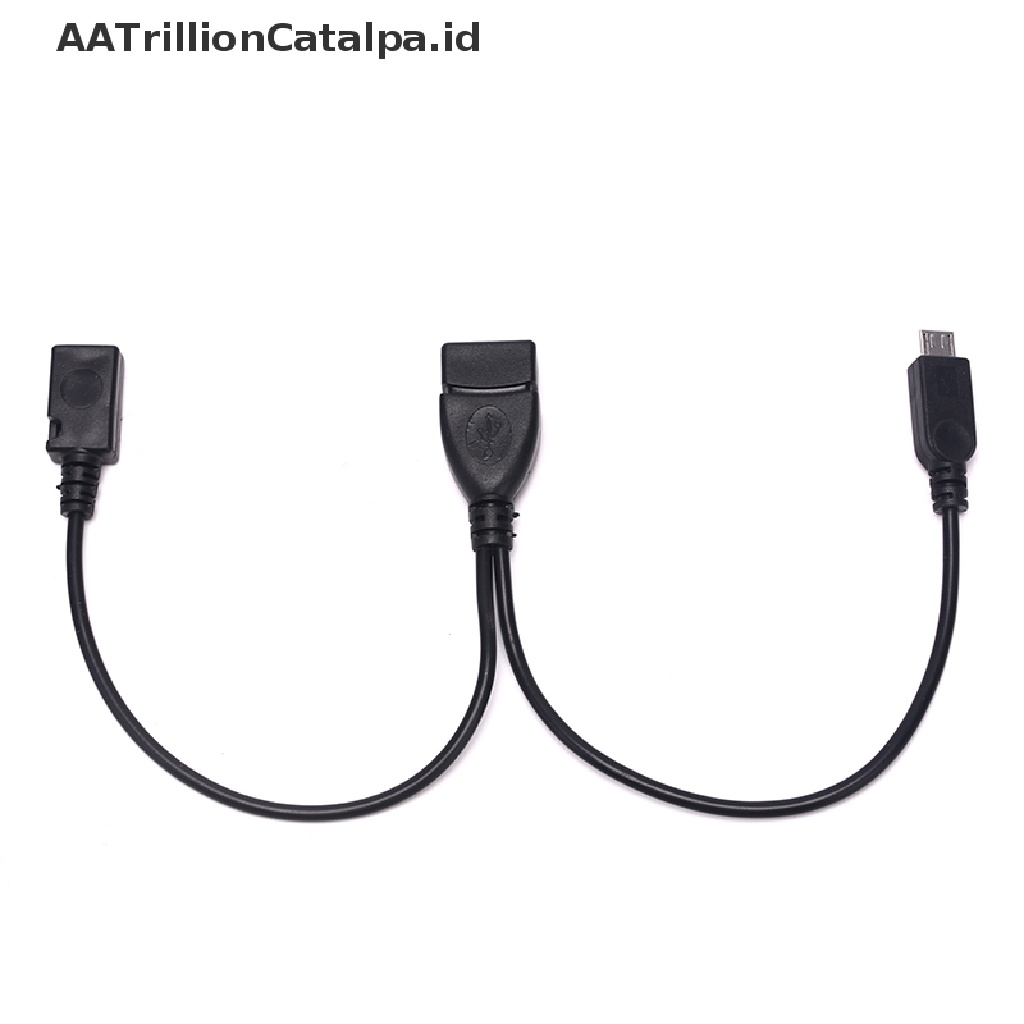 Aa Kabel Adapter Power Splitter Y Trillioncatalpa OTG Male Ke USB A Male Female