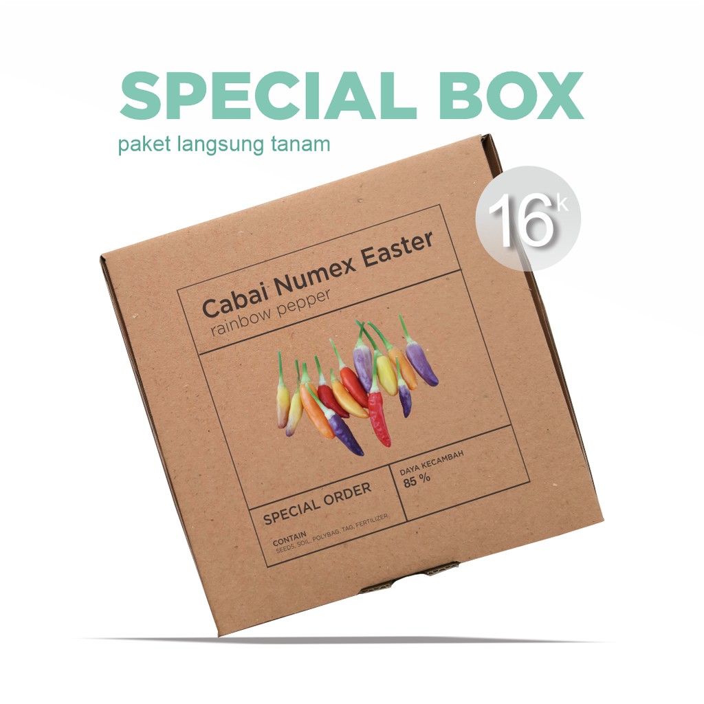 Paket Langsung Tanam - Gardening Kit - SPECIAL BOX - Benih Cabai Numex Easter Rainbow Pepper Seeds