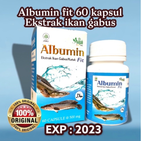 Albumin Fit Kapsul Ekstrak Ikan Gabus Original