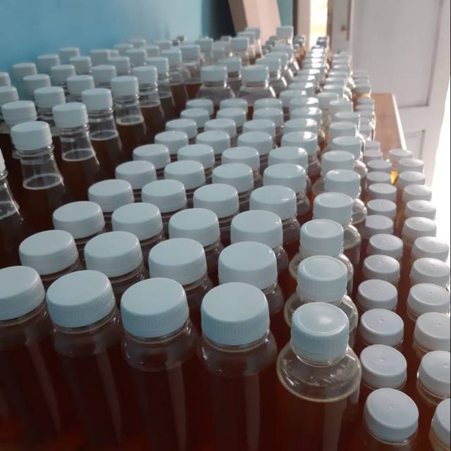 

Madu hutan kalimantan